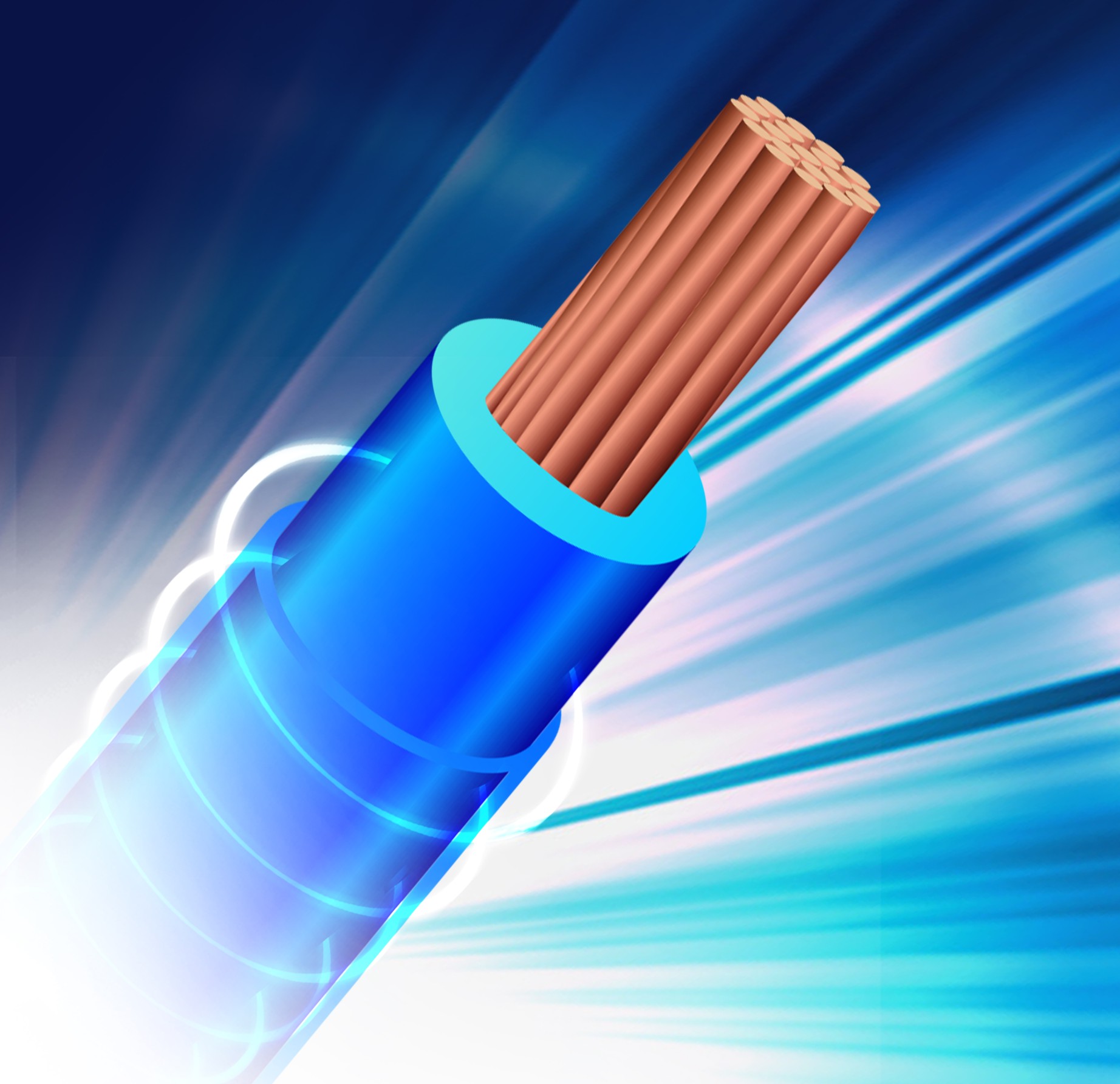 聚氯乙烯絕緣無(wú)護(hù)套電纜電線